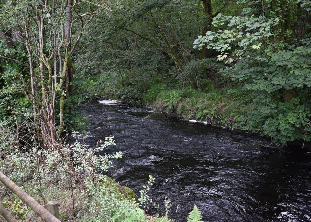 Riverview Lodges And Glamping Welshpool Extérieur photo